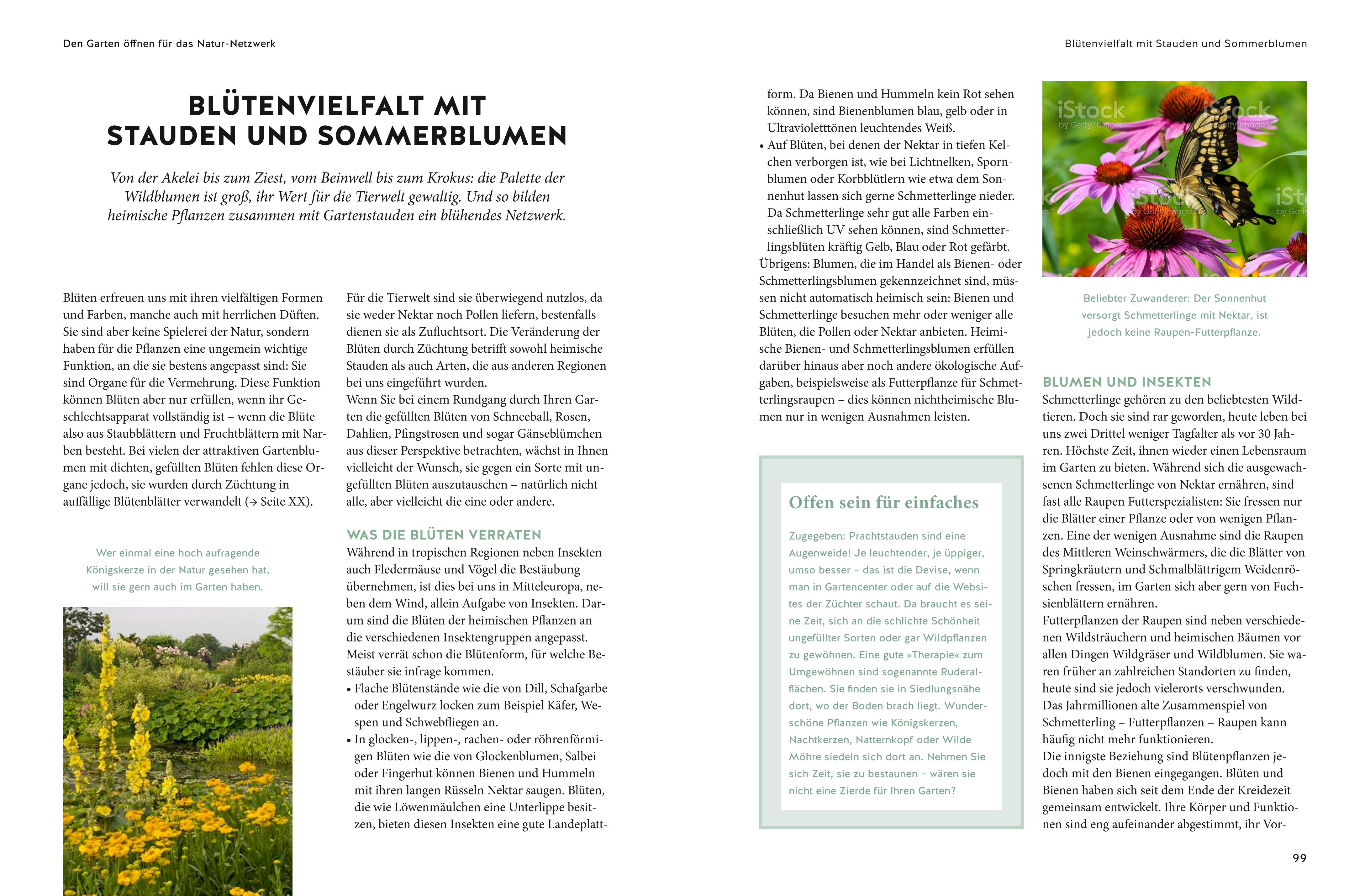 9783833875496_innenansicht_05.jpg