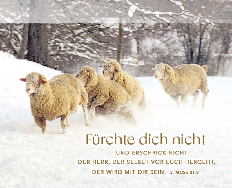 9783866037908_innenansicht_05.jpg