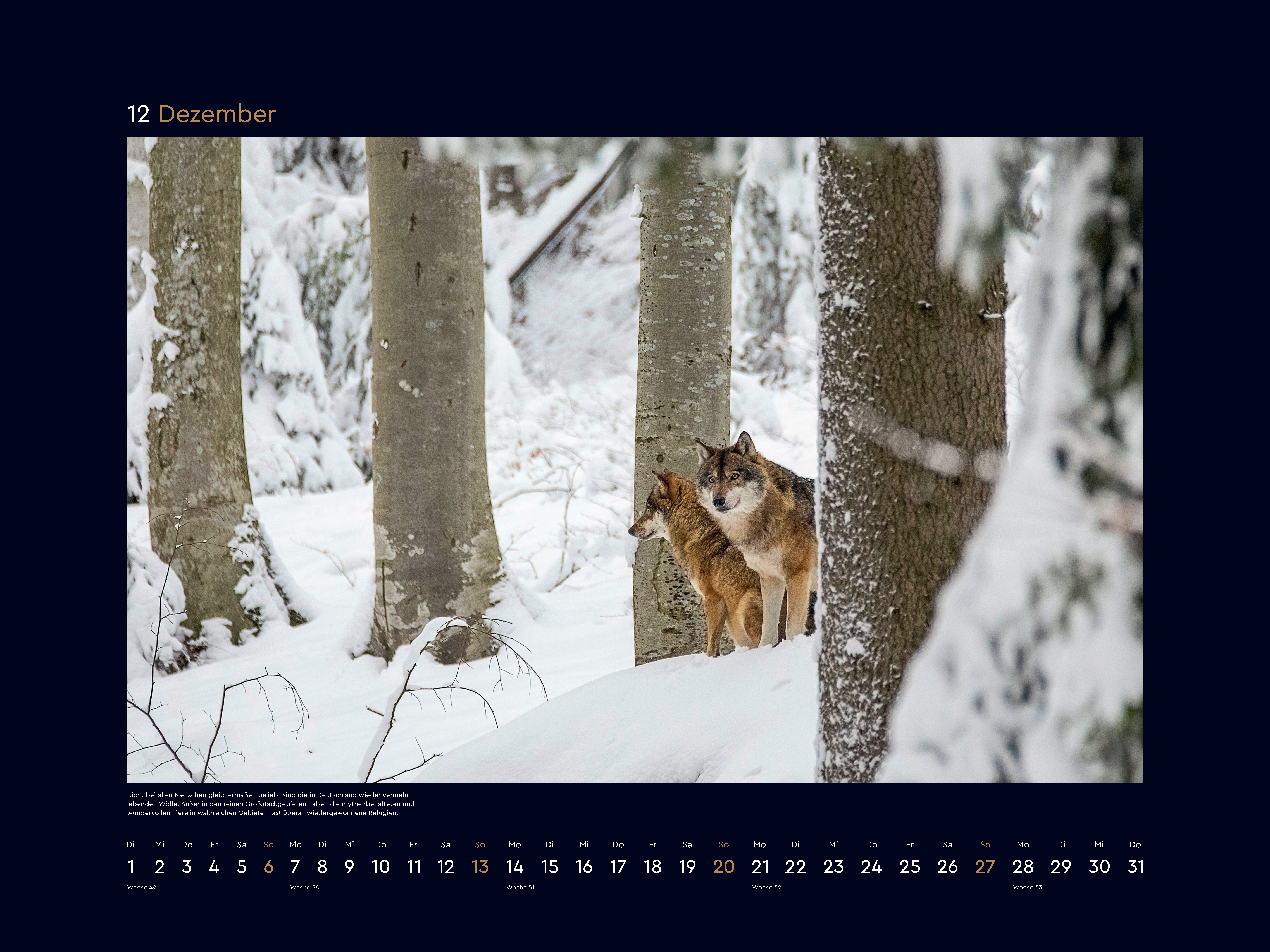 9783965915053_innenansicht_05 9783965915053_innenansicht_05.jpg