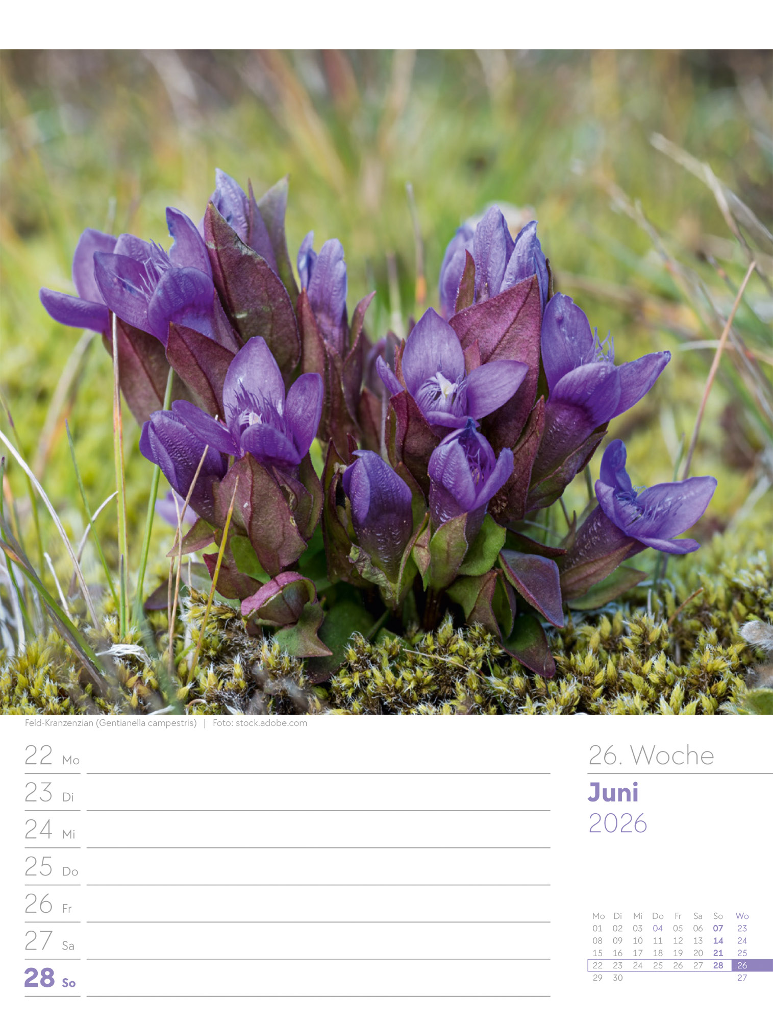 9783838436029_innenansicht_29 9783838436029_innenansicht_29.jpg