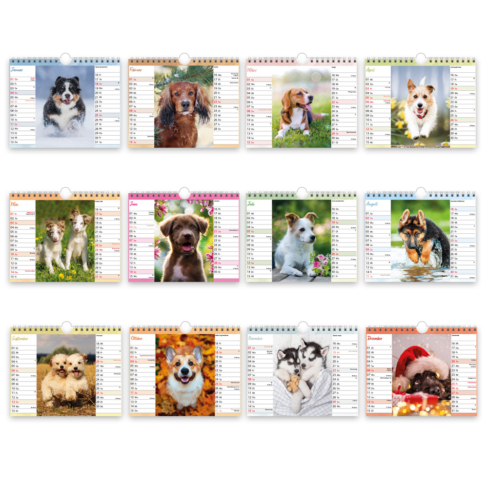 9783988024299_innenansicht_05 9783988024299_innenansicht_05.jpg