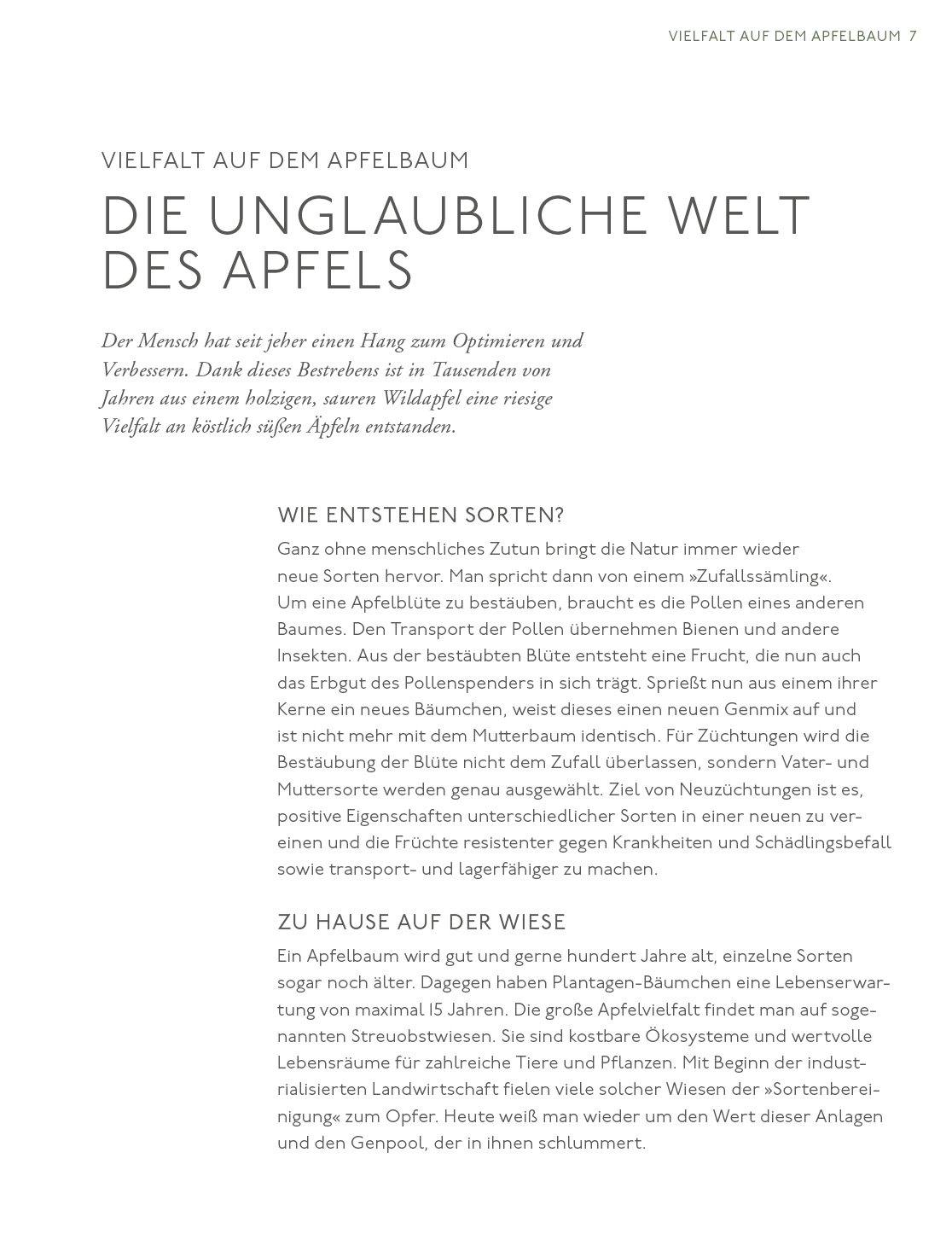 9783747203446_innenansicht_08.jpg