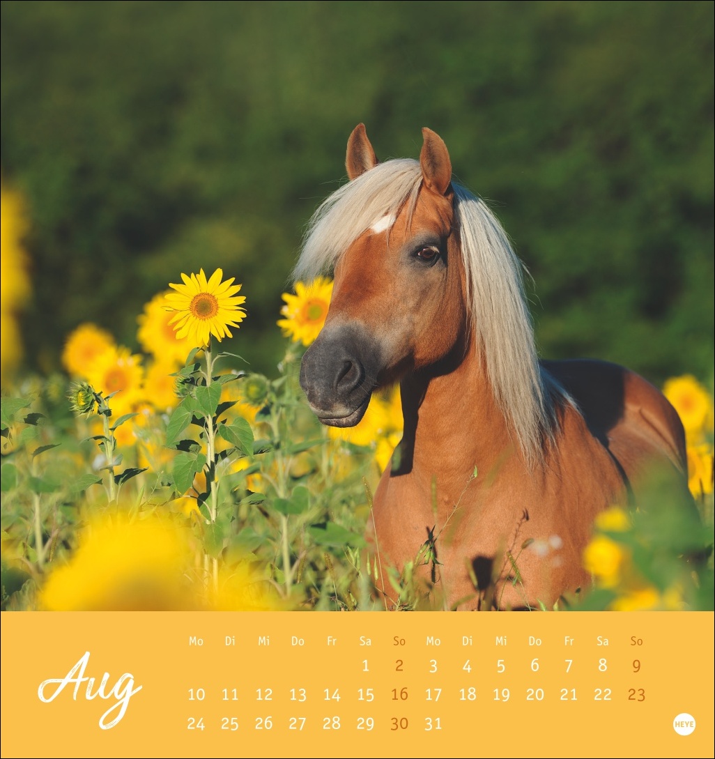 9783756410477_innenansicht_08 9783756410477_innenansicht_08.jpg