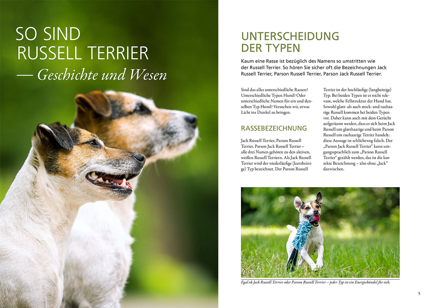9783440149744_innenansicht_01.jpg