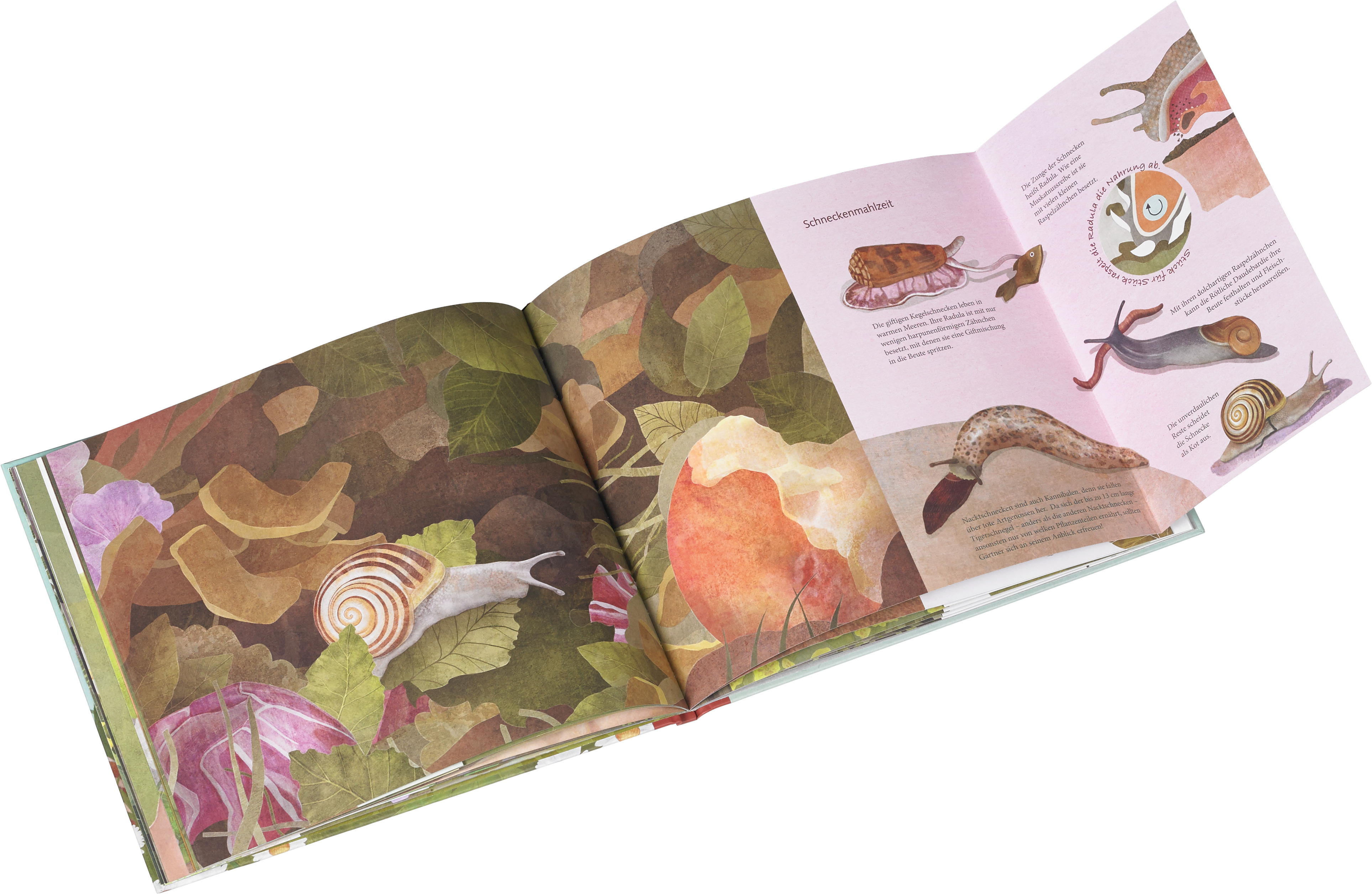 9783836956062_innenansicht_02 9783836956062_innenansicht_02.jpg