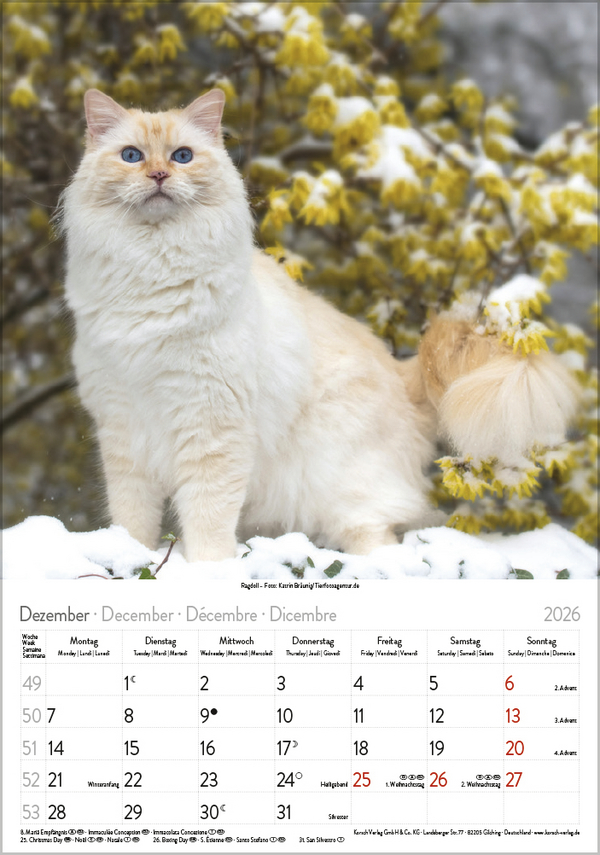 9783731883609_innenansicht_12 9783731883609_innenansicht_12.jpg