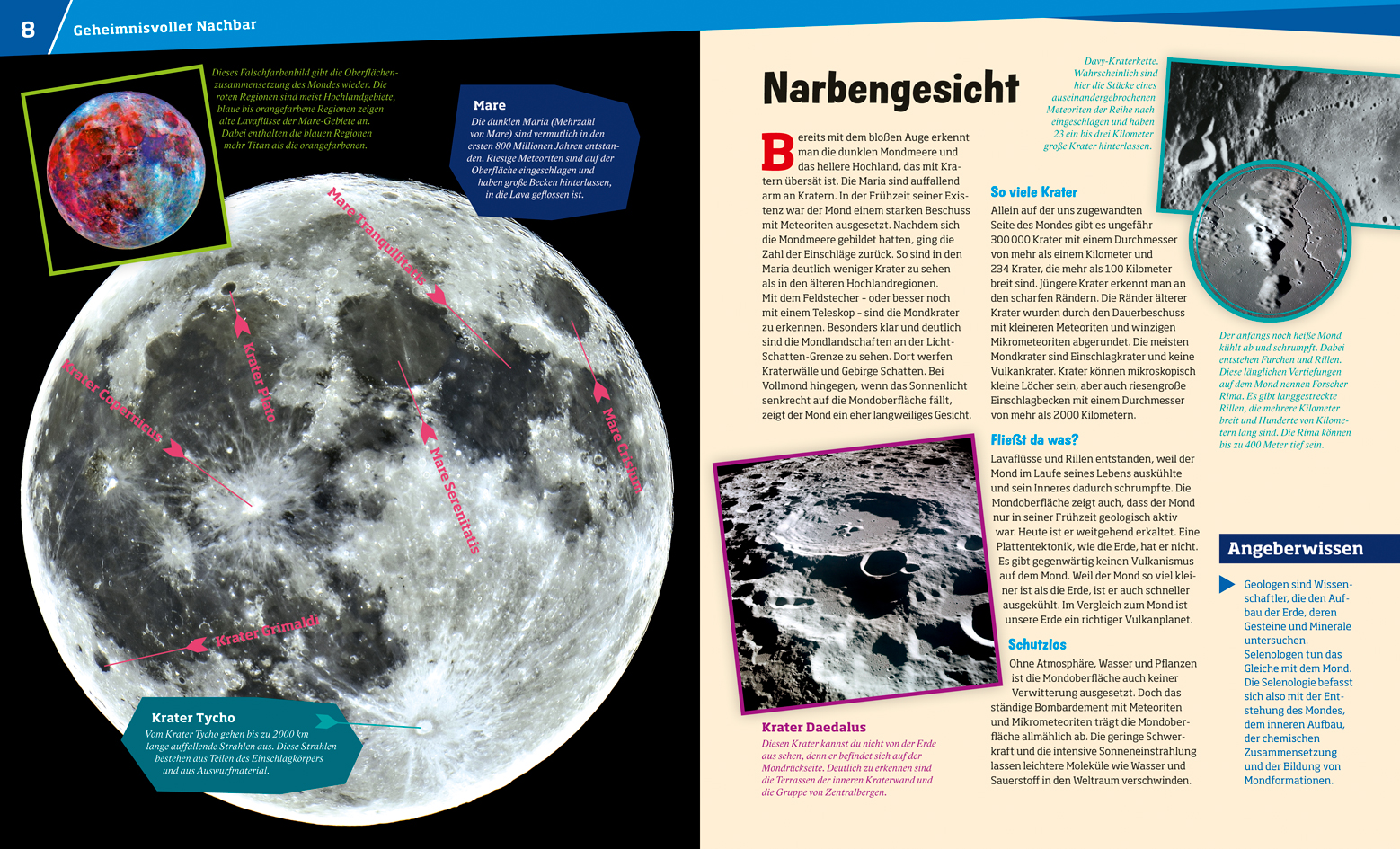 9783788620738_innenansicht_04.jpg