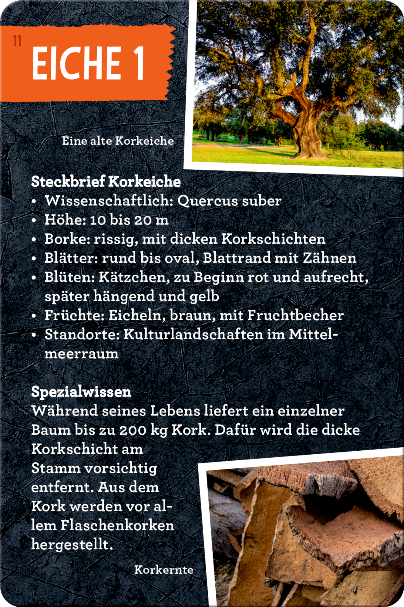 9783649648086_innenansicht_03 9783649648086_innenansicht_03.jpg