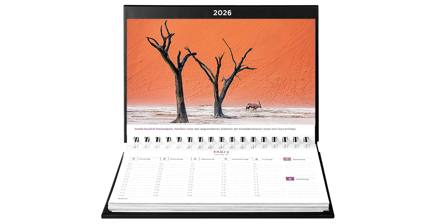 9783965914513_innenansicht_06 9783965914513_innenansicht_06.jpg