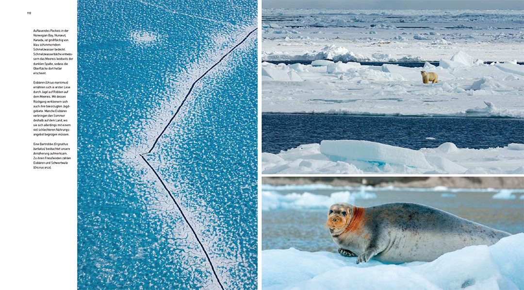 9783258083377_innenansicht_01 9783258083377_innenansicht_01.jpg