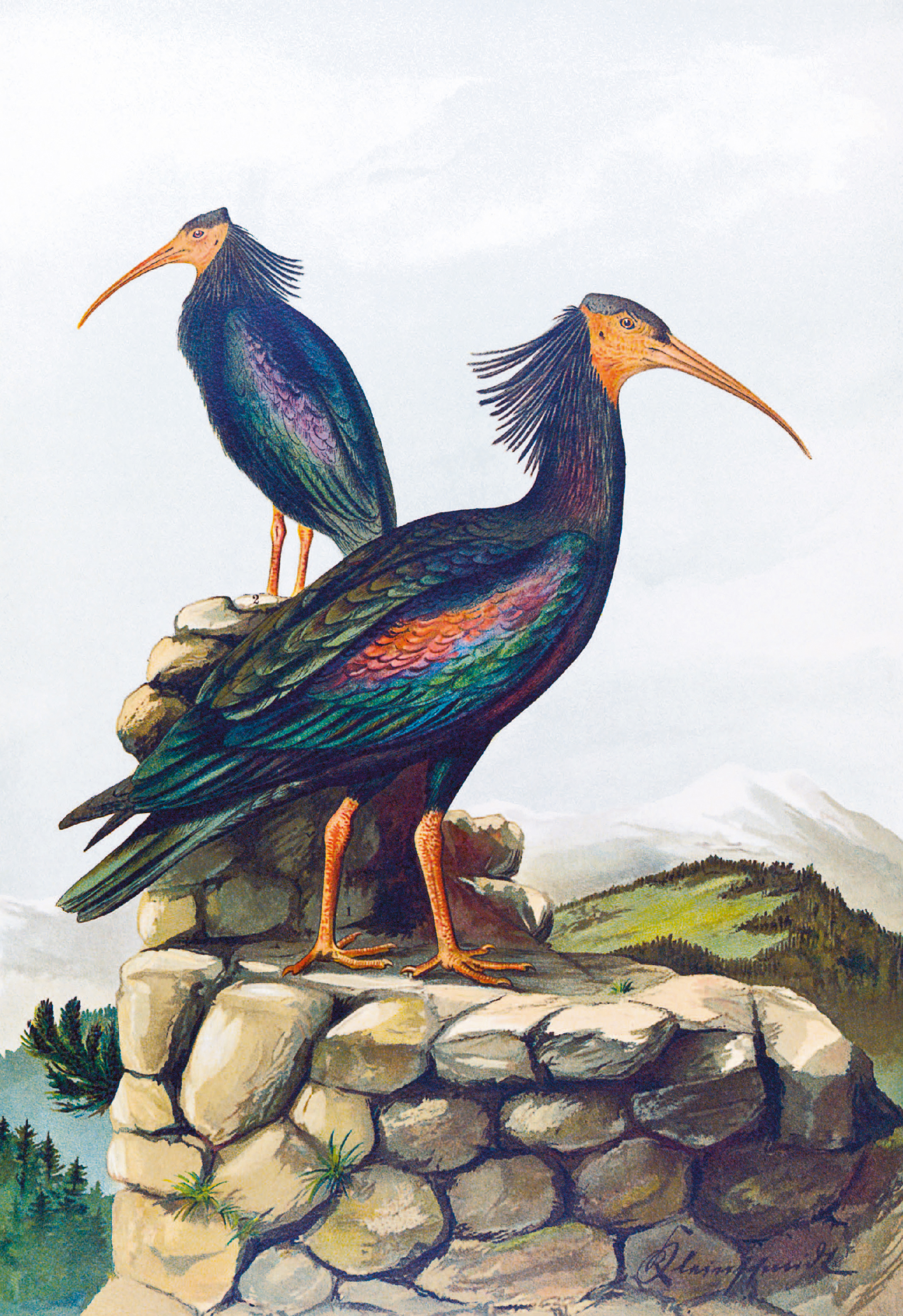 9783968492001_innenansicht_01 9783968492001_innenansicht_01.jpg