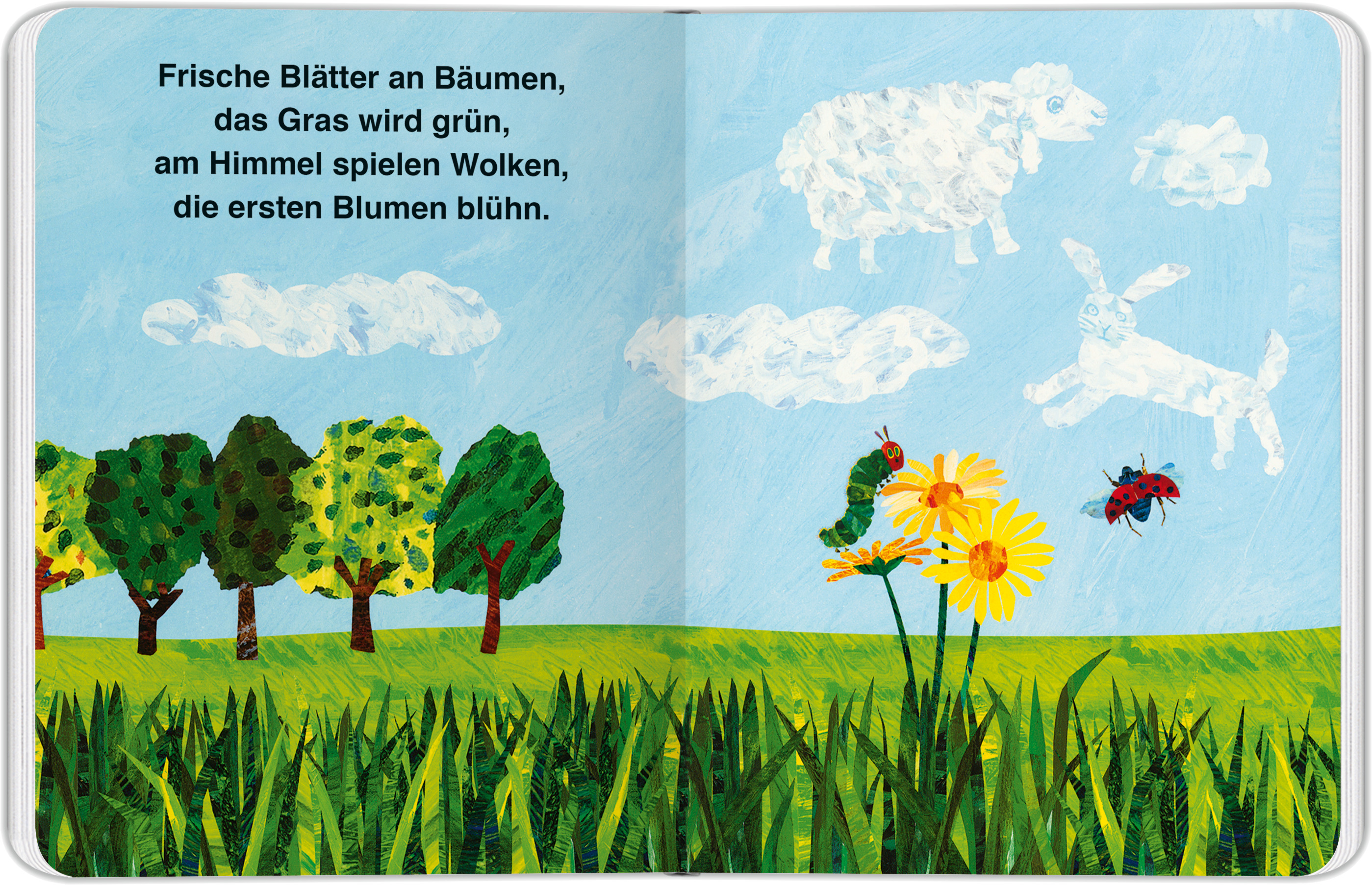 9783836962087_innenansicht_01.jpg