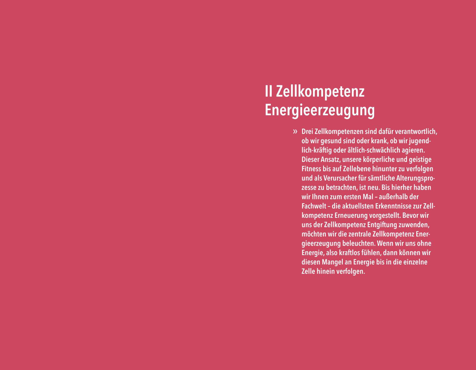 9783833871788_innenansicht_05.jpg