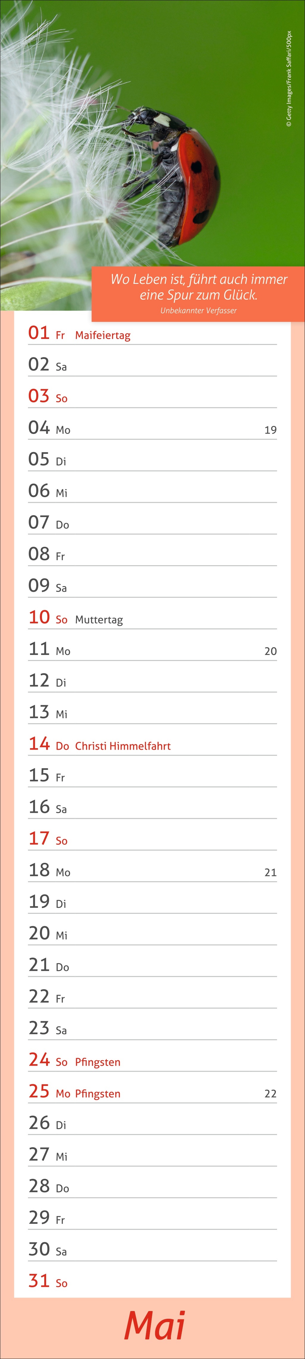 9783756412945_innenansicht_05.jpg