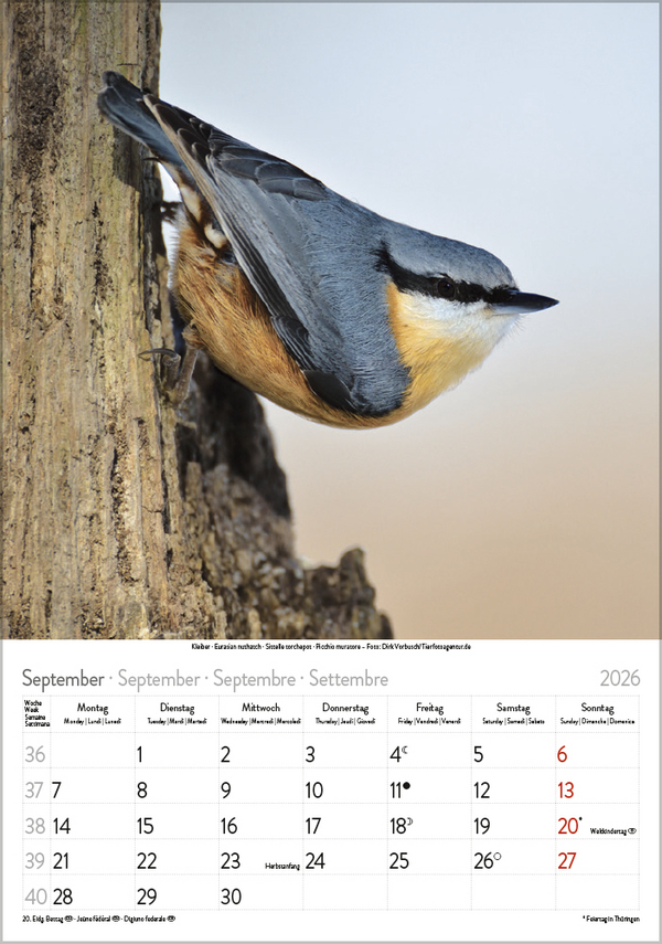 9783731883647_innenansicht_09 9783731883647_innenansicht_09.jpg