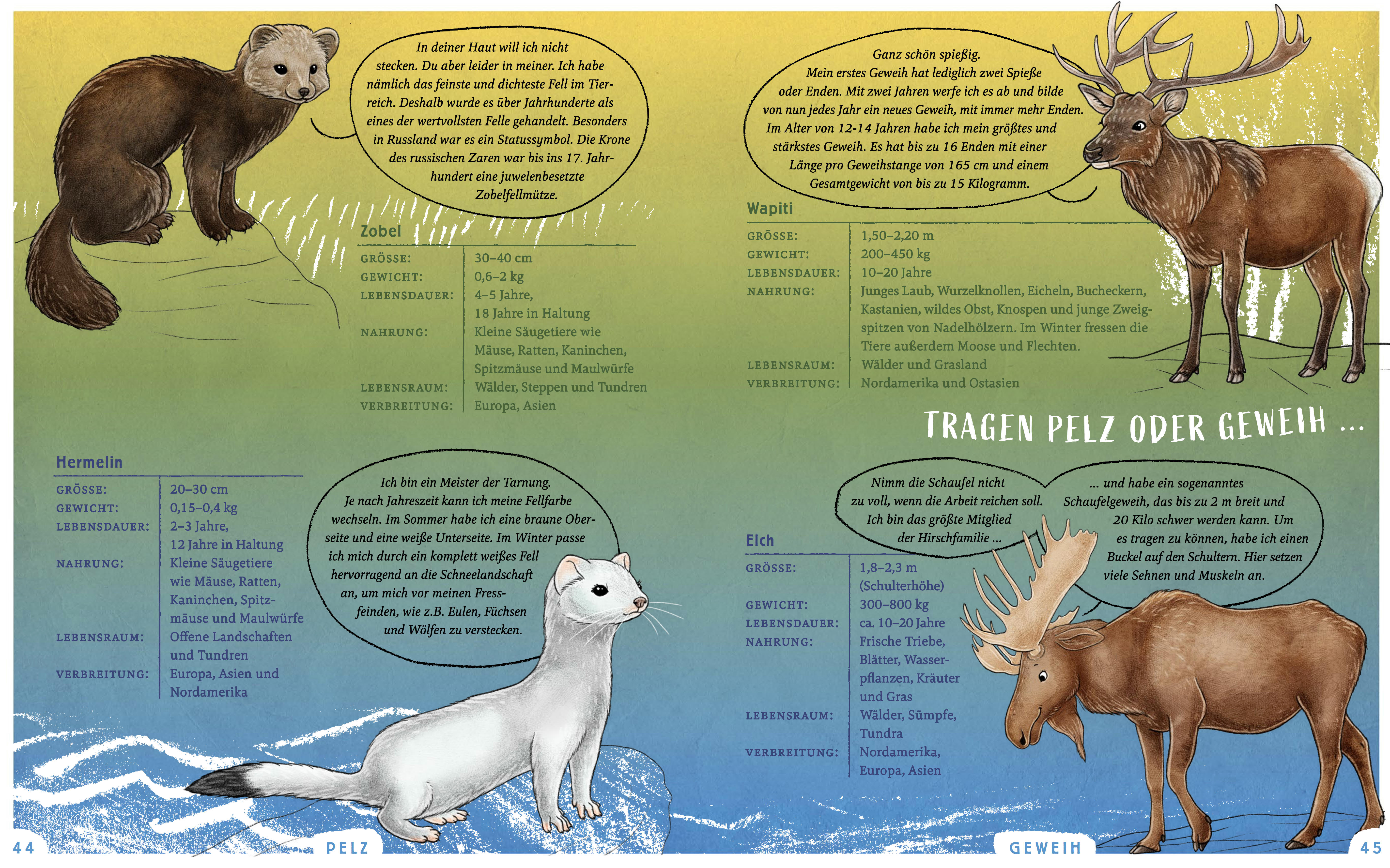 9783833909429_innenansicht_06 9783833909429_innenansicht_06.jpg