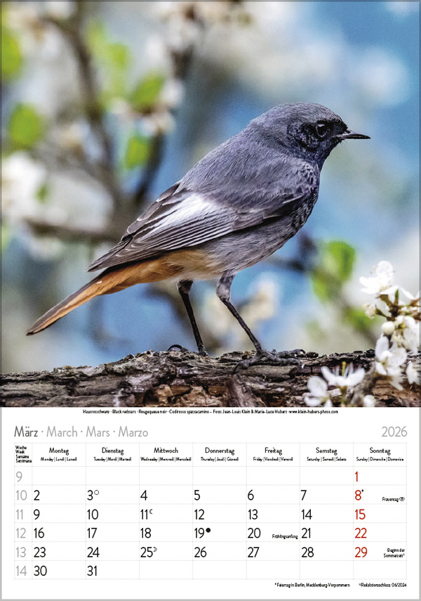 9783731883647_innenansicht_03 9783731883647_innenansicht_03.jpg