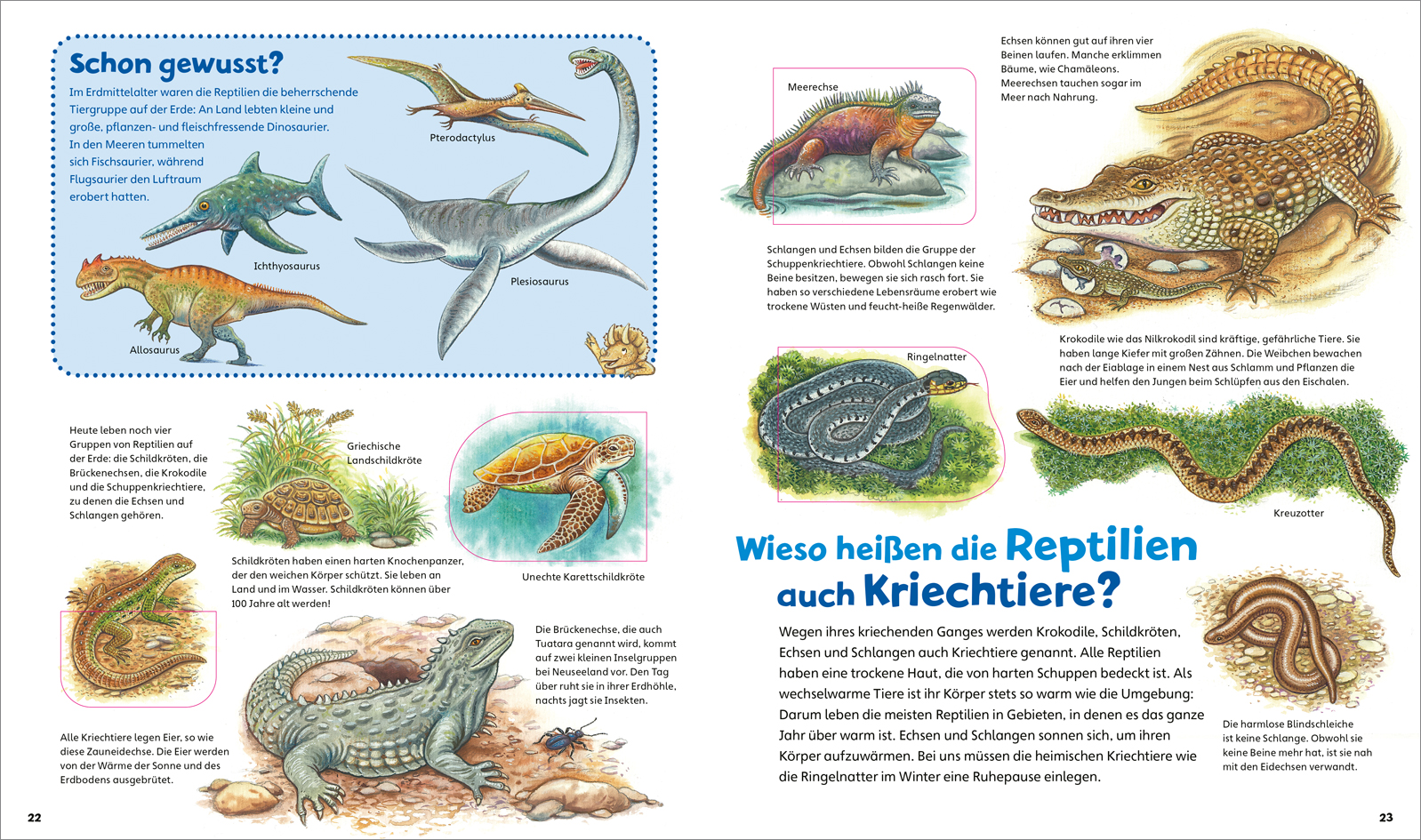 9783788677534_innenansicht_03.jpg