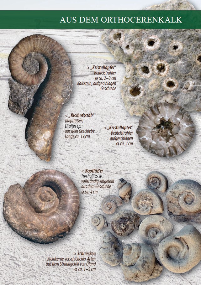 9783944102689_innenansicht_04 9783944102689_innenansicht_04.jpg