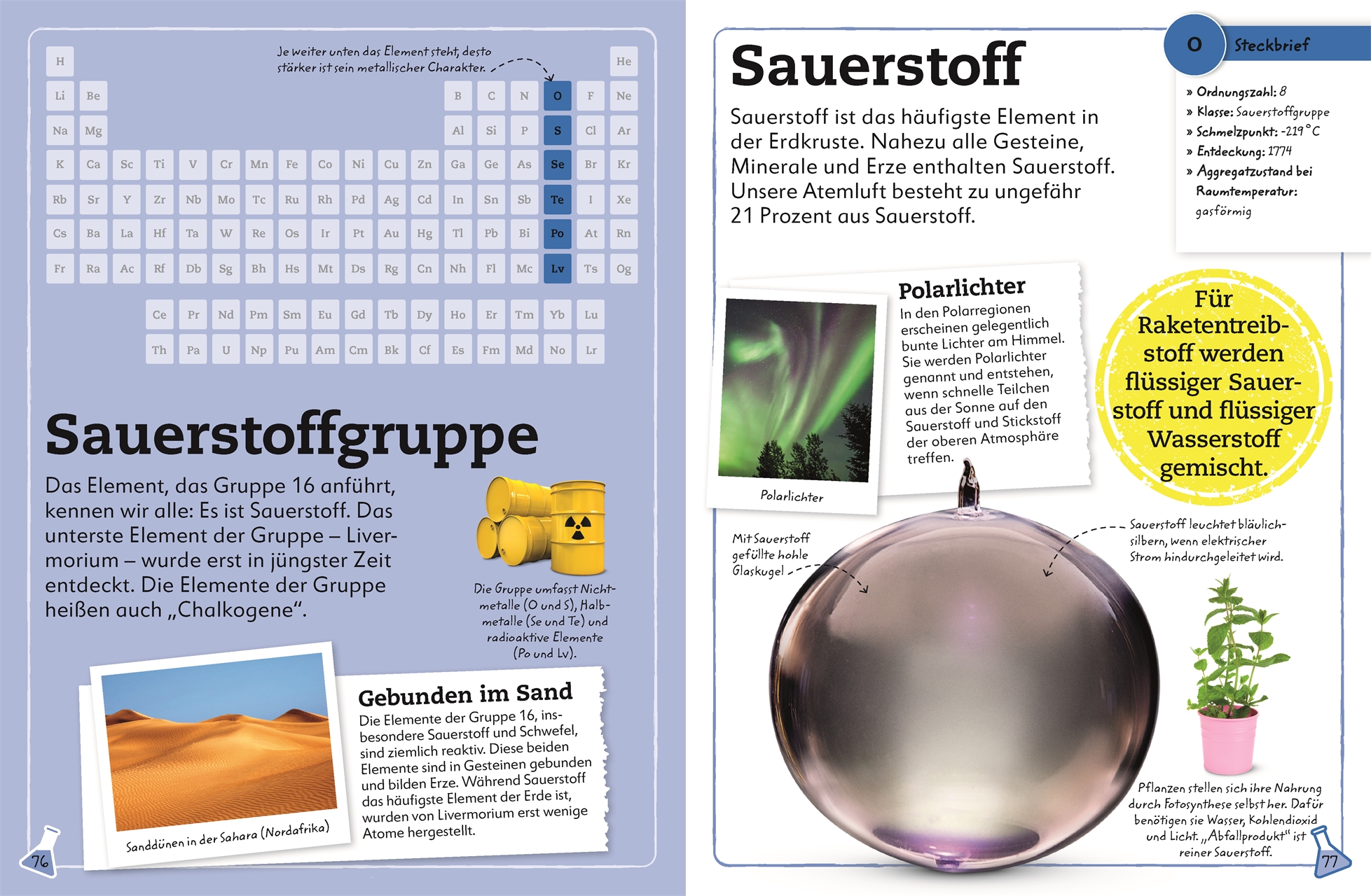 9783831050499_innenansicht_07.jpg