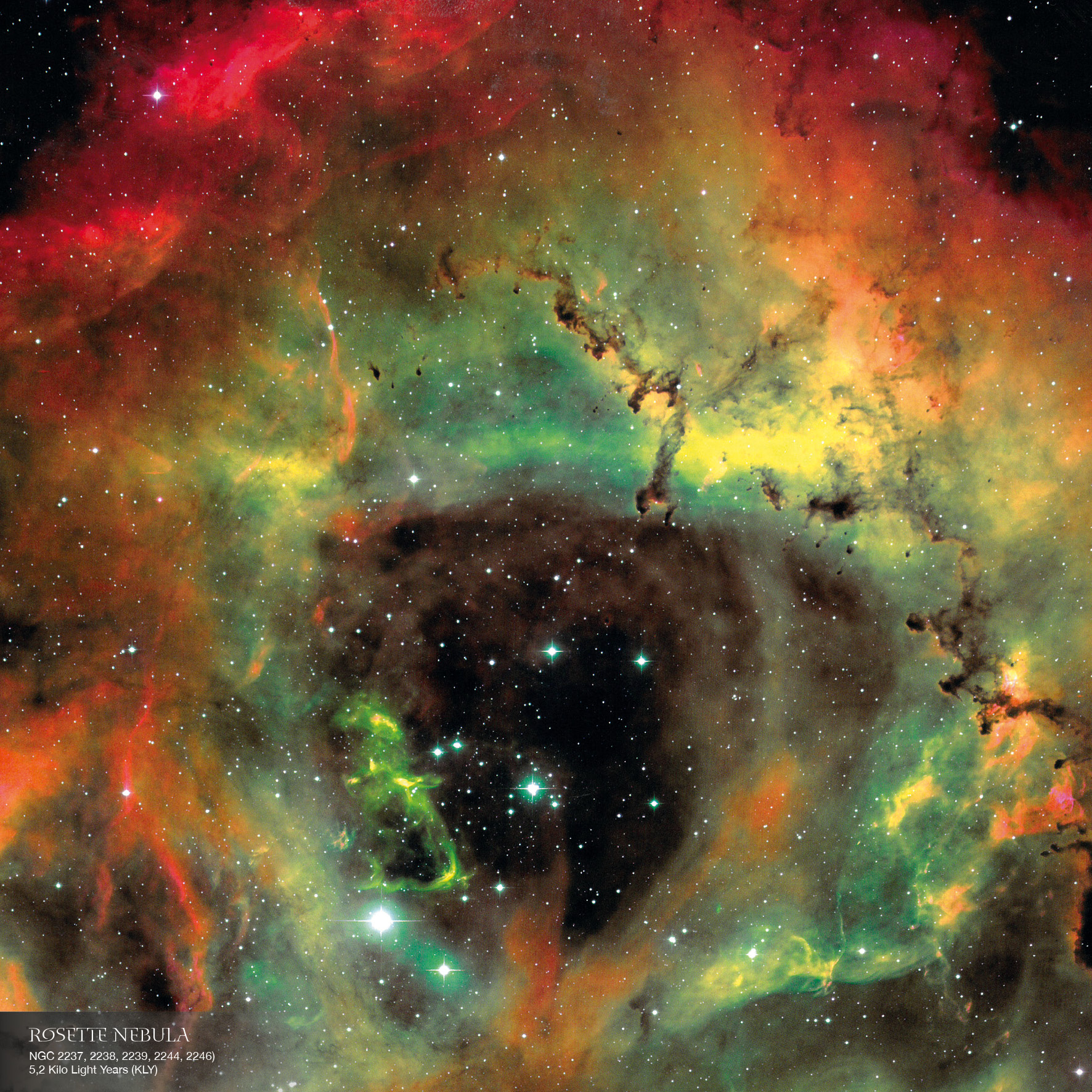 9783959295055_innenansicht_05 9783959295055_innenansicht_05.jpg