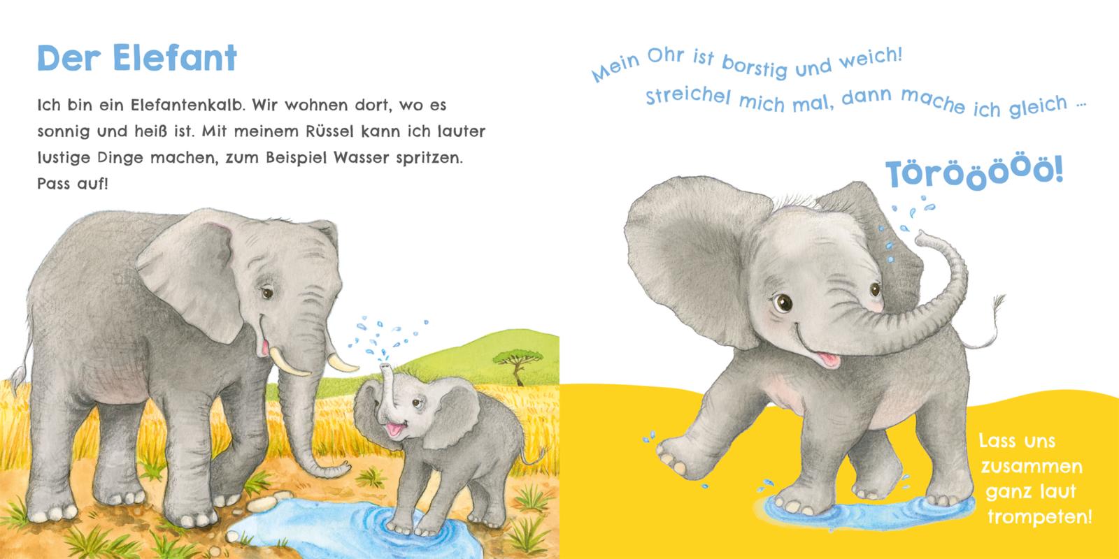 9783551254030_innenansicht_05.jpg