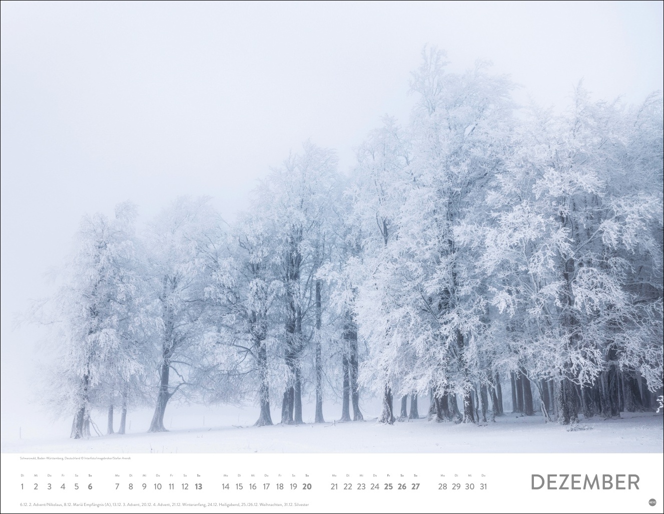 9783756413959_innenansicht_12 9783756413959_innenansicht_12.jpg