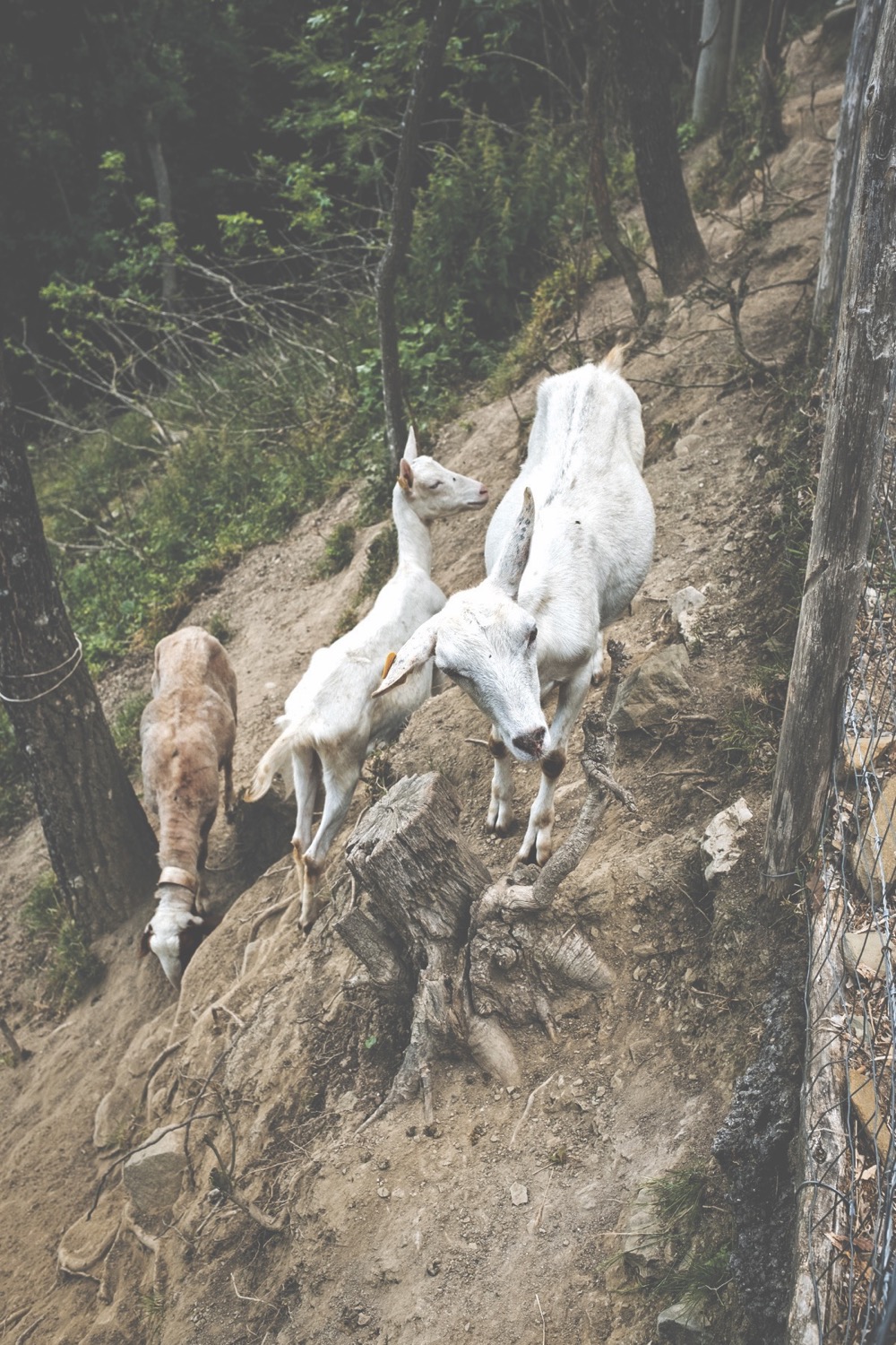 9783959613668_innenansicht_02 9783959613668_innenansicht_02.jpg