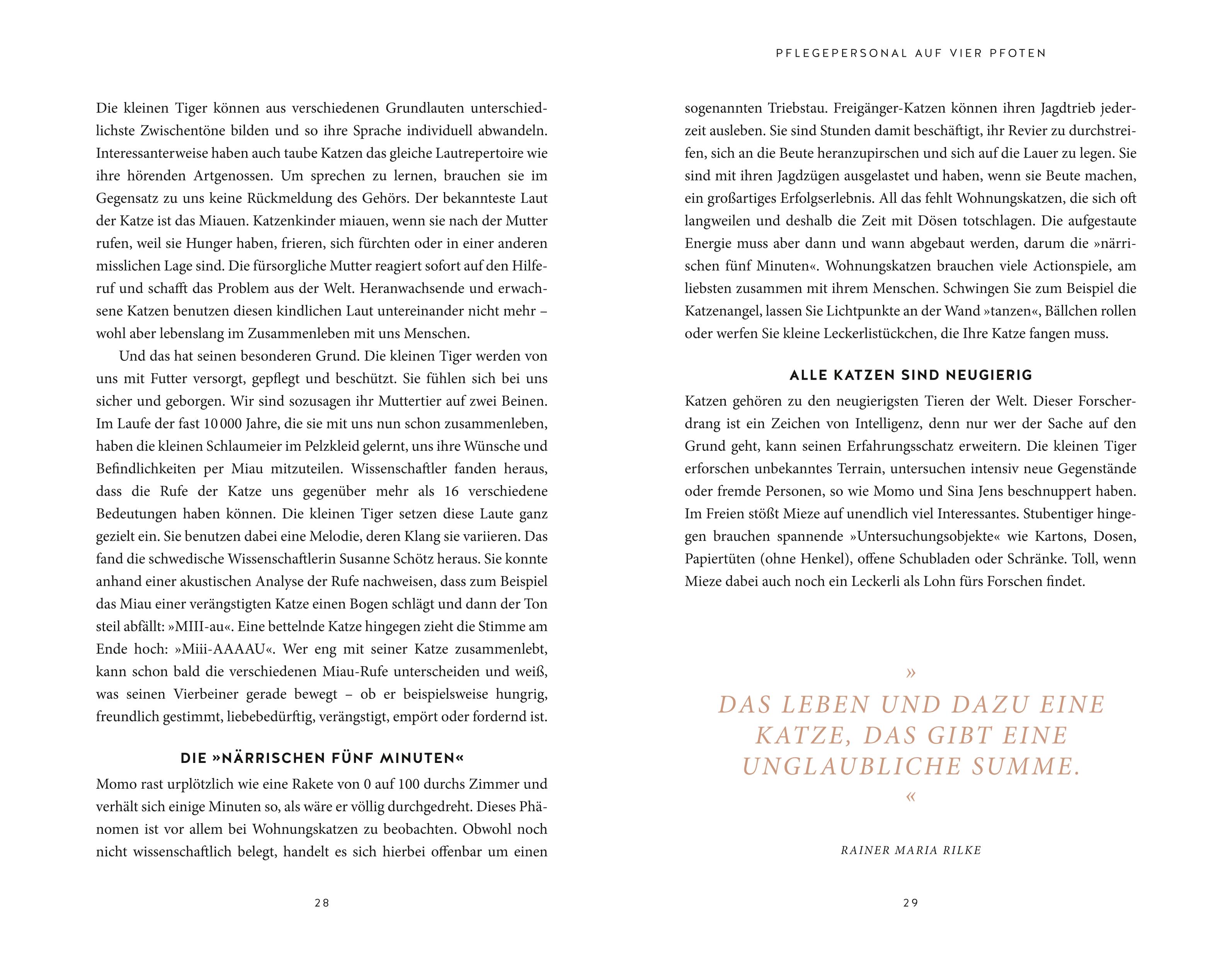 9783833871252_innenansicht_06 9783833871252_innenansicht_06.jpg