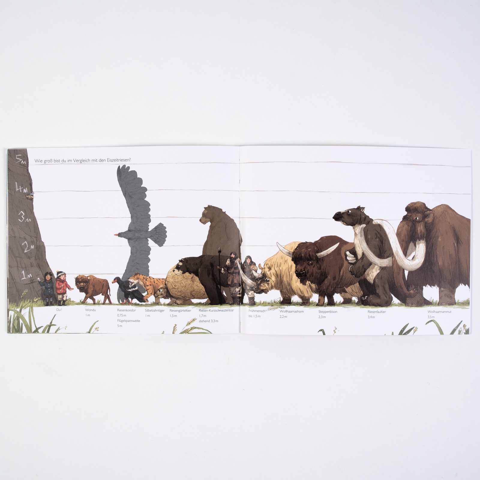 9783407762627_innenansicht_02 9783407762627_innenansicht_02.jpg