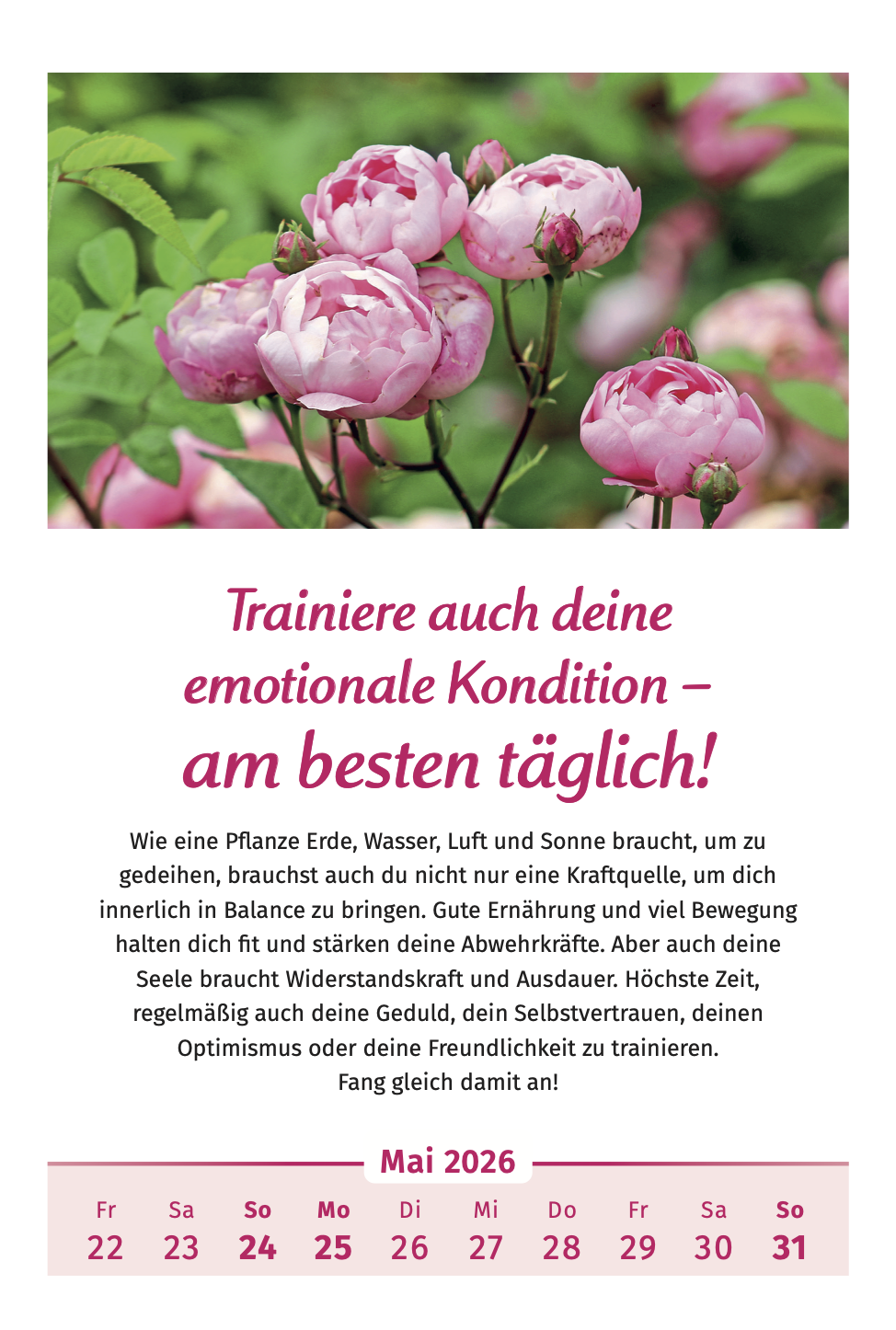 9783910294455_innenansicht_04.png
