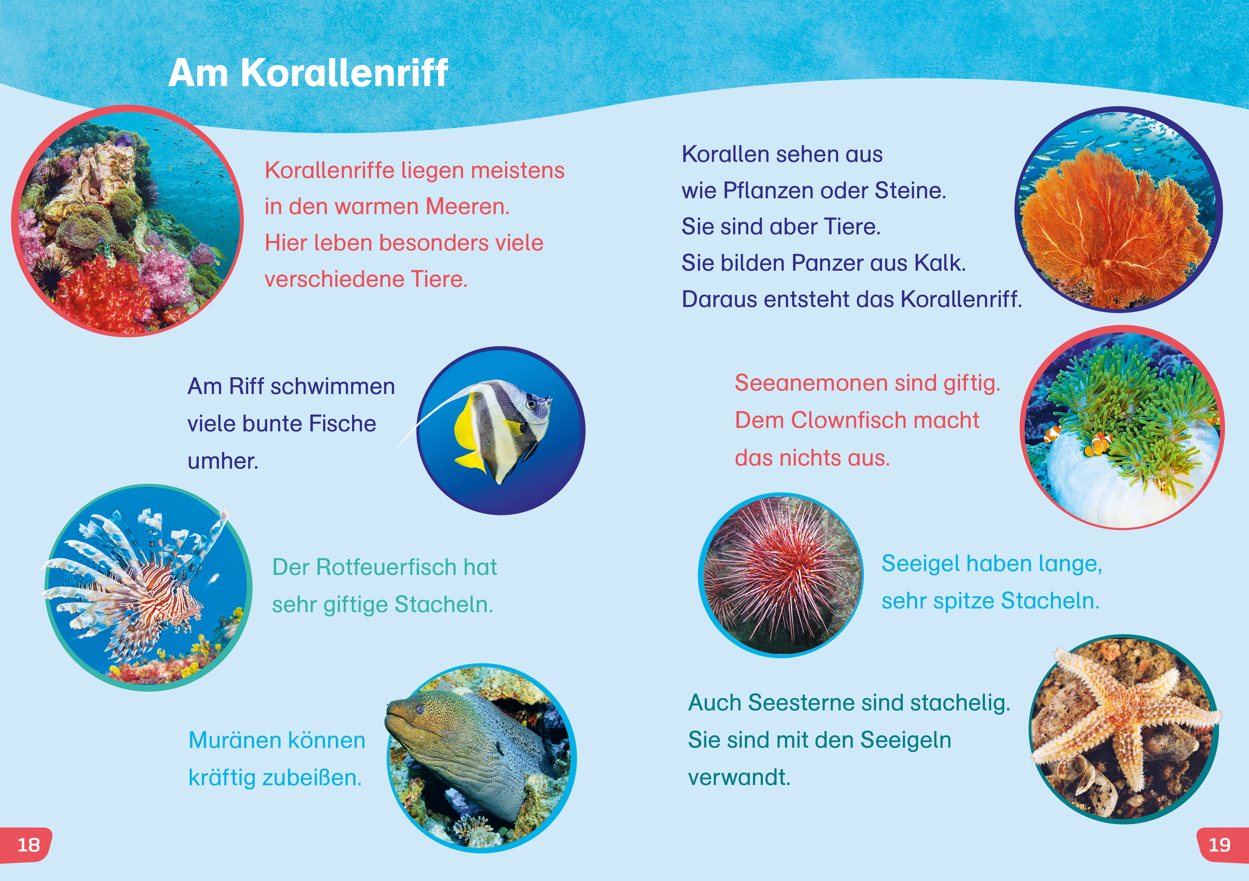 9783788677480_innenansicht_02 9783788677480_innenansicht_02.jpg