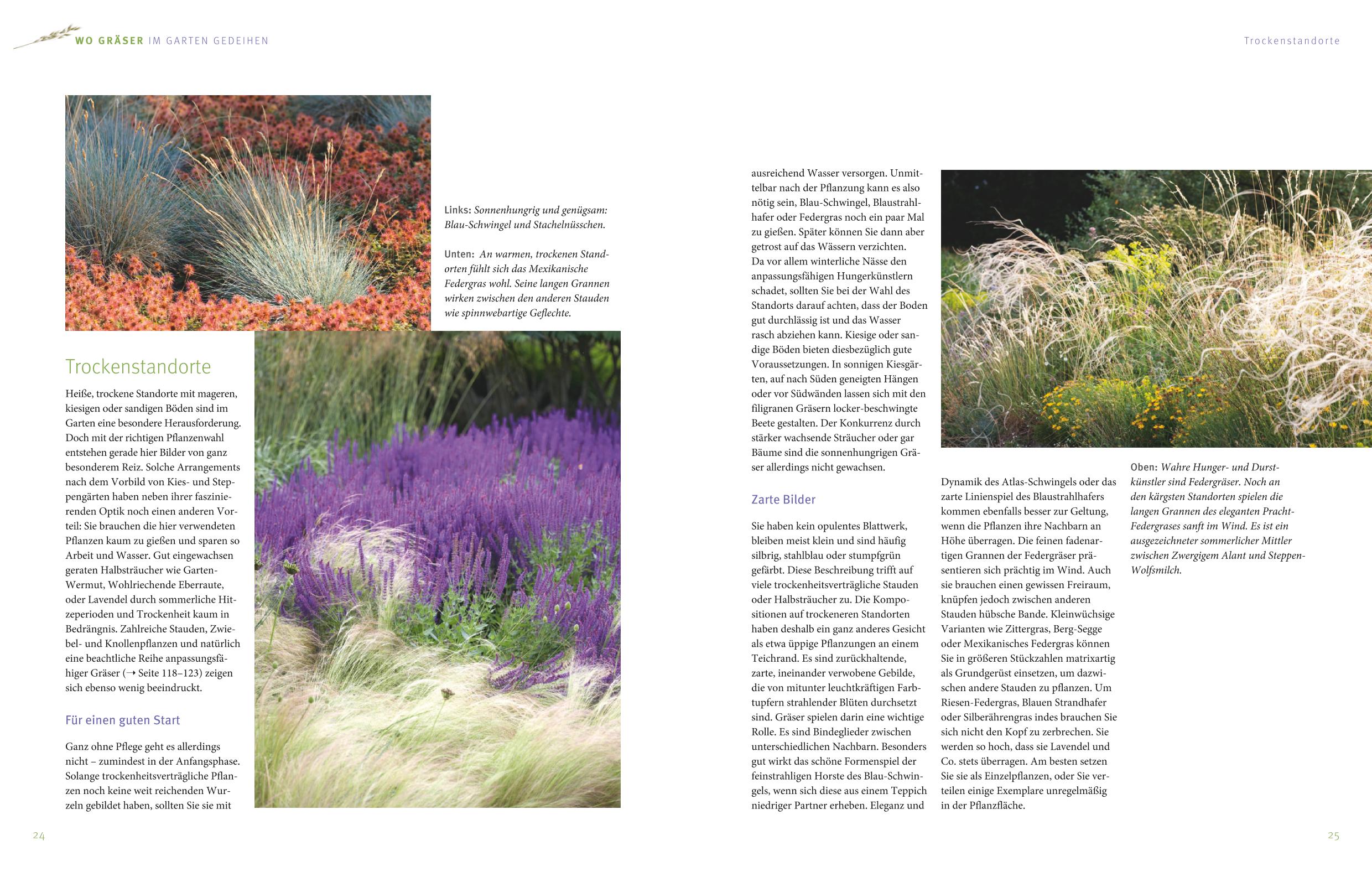 9783833827778_innenansicht_03 9783833827778_innenansicht_03.jpg