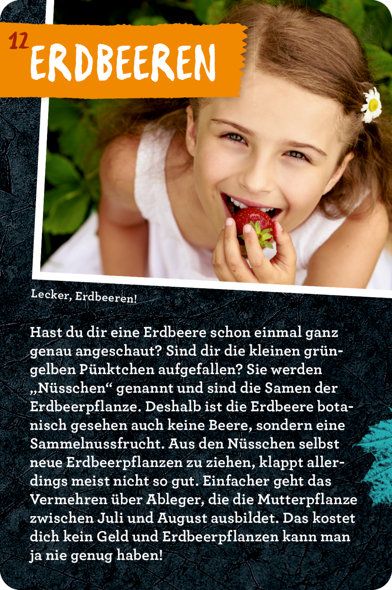 9783649647935_innenansicht_03 9783649647935_innenansicht_03.jpg