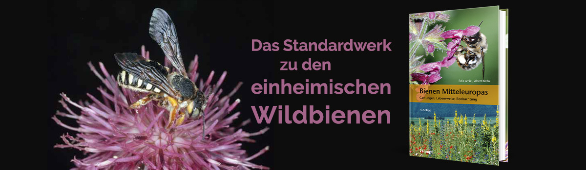 9783258084312_buehnenbild.jpg
