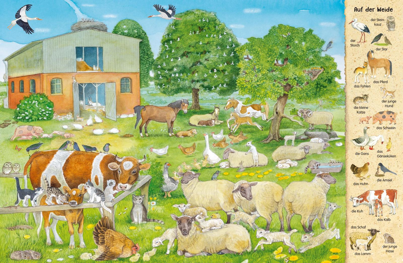 9783480238699_innenansicht_02 9783480238699_innenansicht_02.jpg