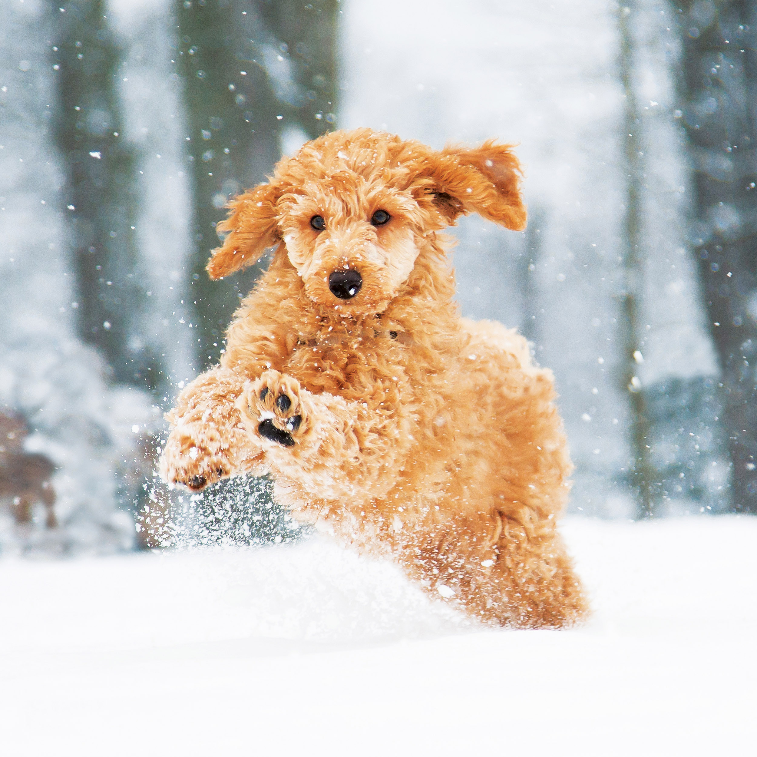 9783959295888_innenansicht_12 9783959295888_innenansicht_12.jpg