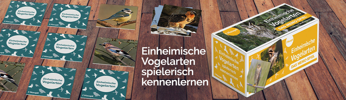 9783258800004_buehnenbild.jpg