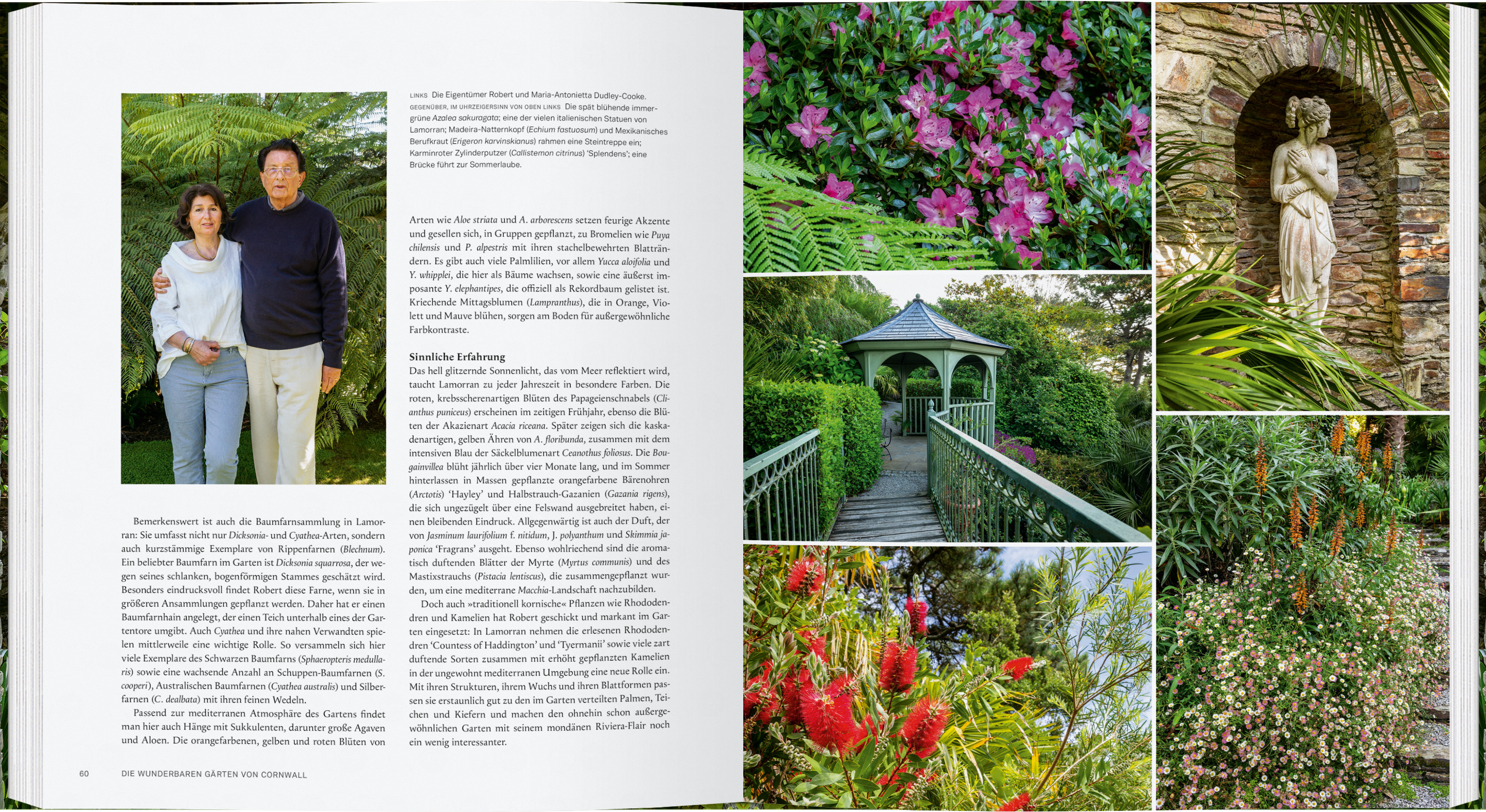 9783836922005_innenansicht_01 9783836922005_innenansicht_01.jpg