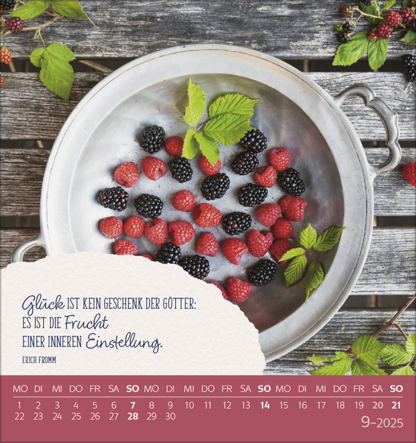 9783731880264_innenansicht_09 9783731880264_innenansicht_09.jpg