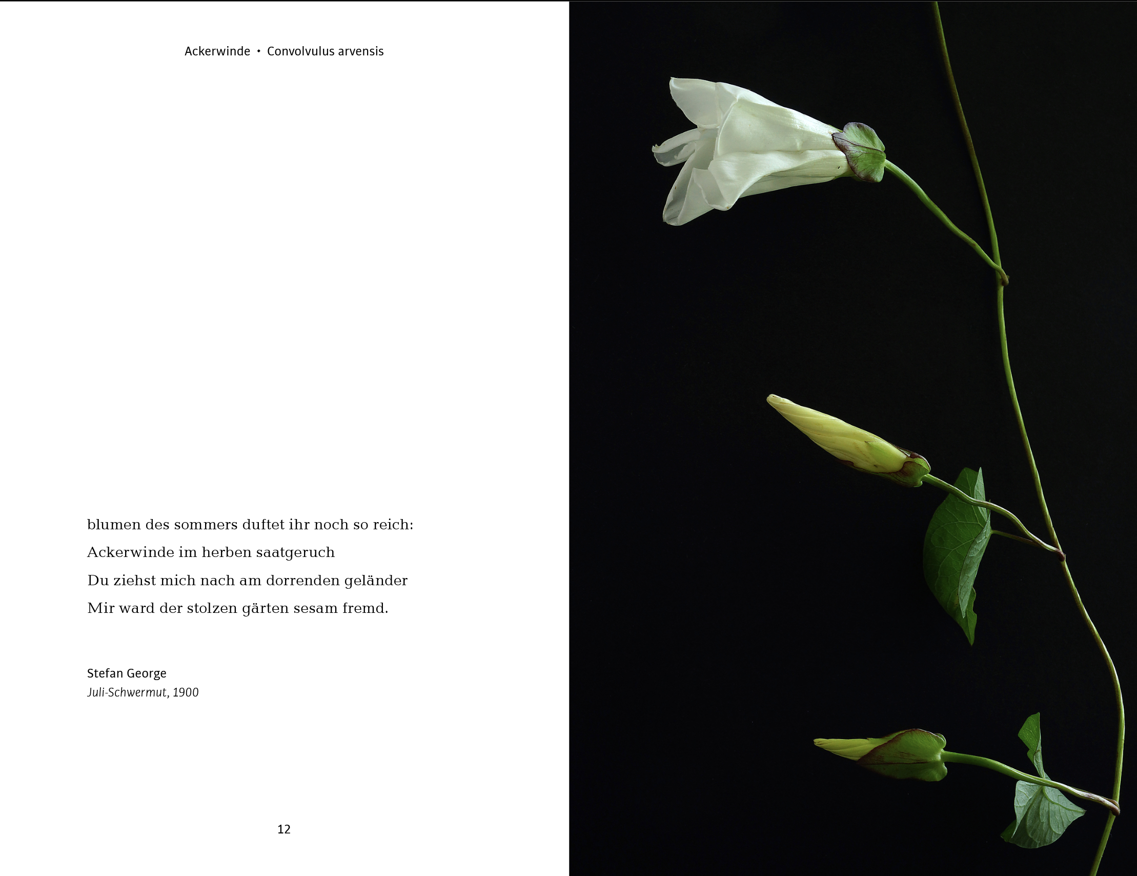 9783948696078_innenansicht_01 9783948696078_innenansicht_01.jpg