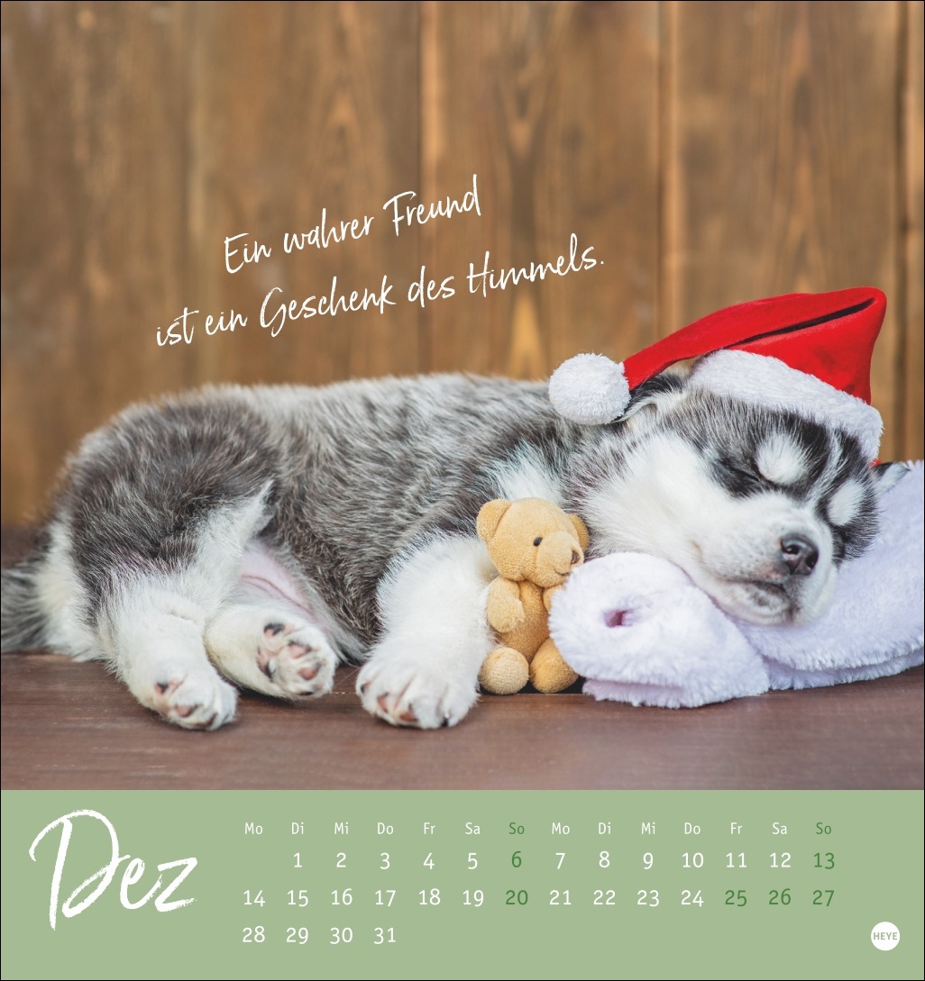9783756411566_innenansicht_12.jpg
