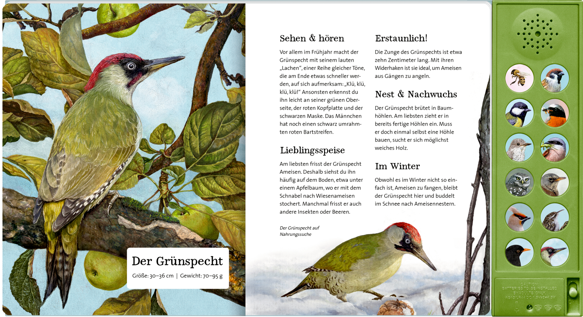 9783649647942_innenansicht_04 9783649647942_innenansicht_04.jpg