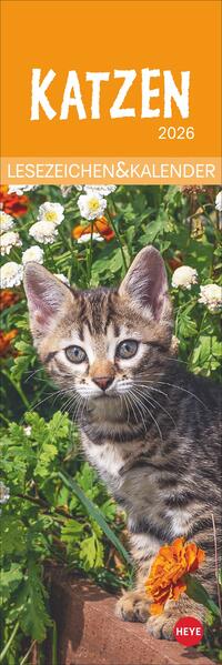 9783756410361 9783756410361