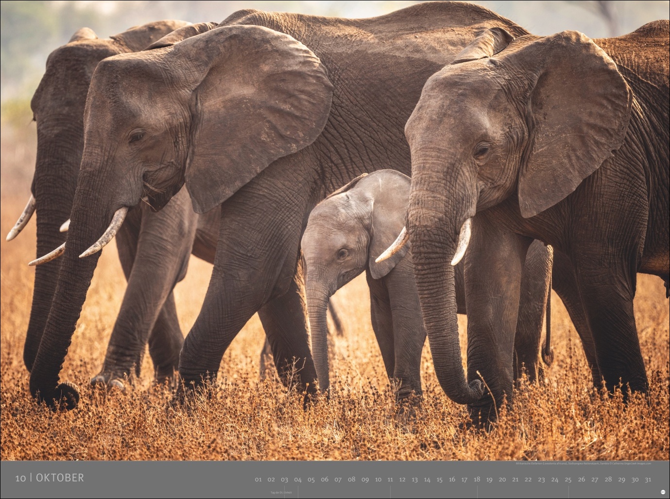 9783756410545_innenansicht_10 9783756410545_innenansicht_10.jpg