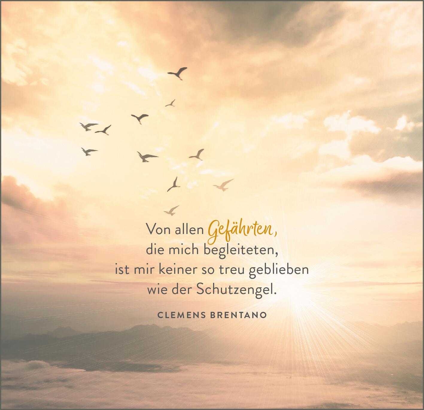 9783845860459_innenansicht_01.jpg
