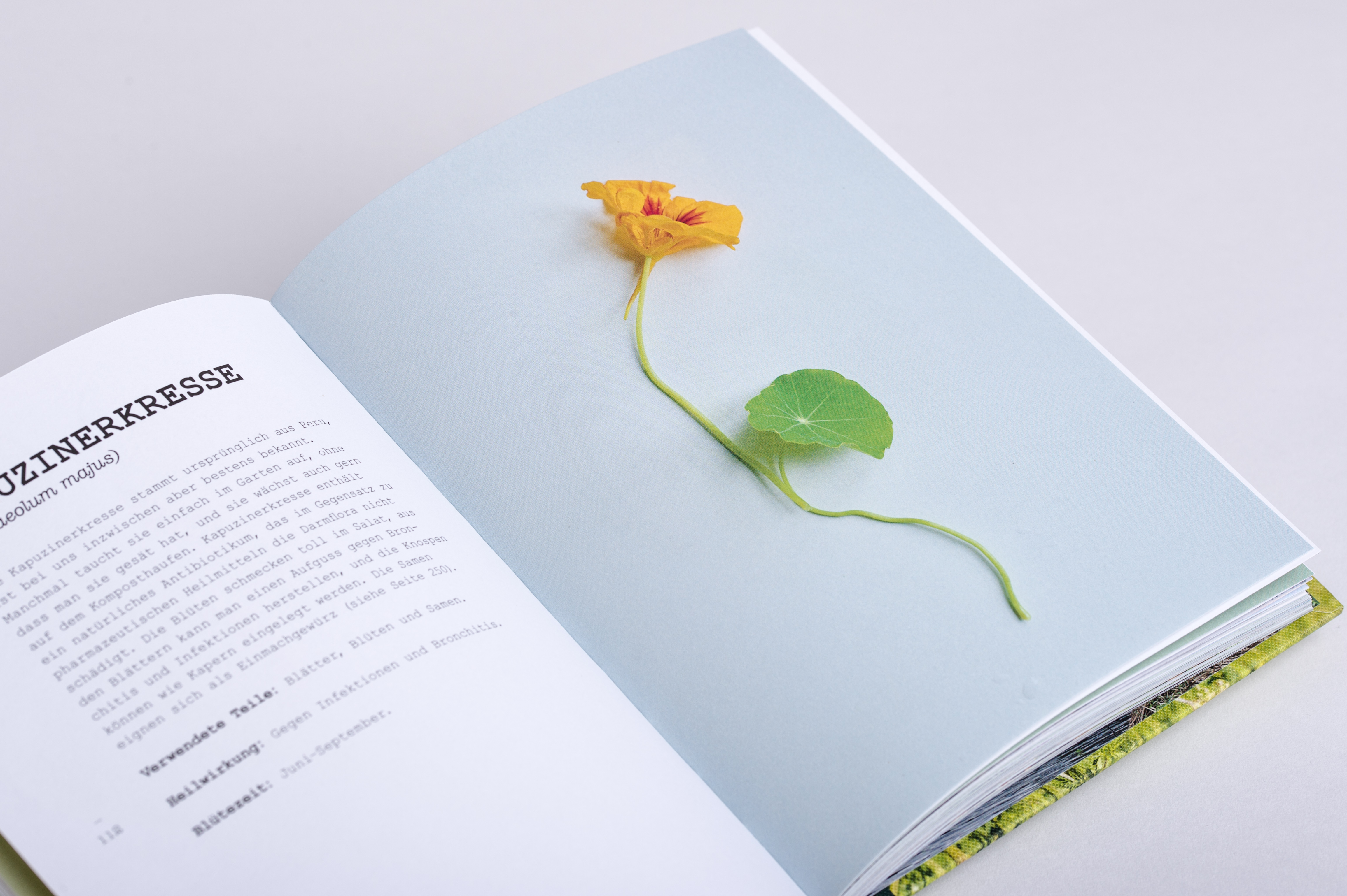 9783517098470_innenansicht_09 9783517098470_innenansicht_09.jpg