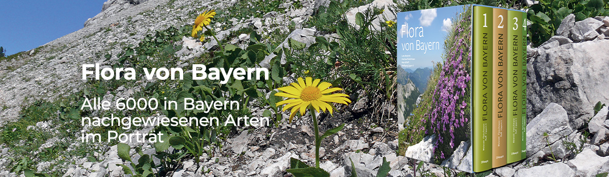 9783258083599_buehnenbild 9783258083599_buehnenbild.jpg