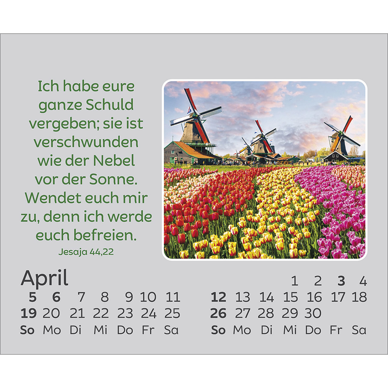 9783754861066_innenansicht_04.jpg