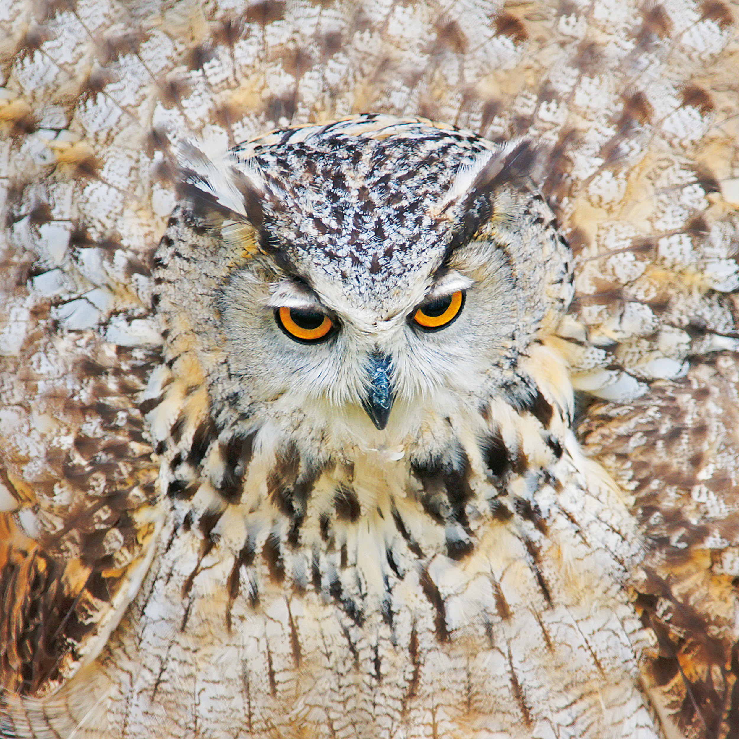 9783959295208_innenansicht_07 9783959295208_innenansicht_07.jpg